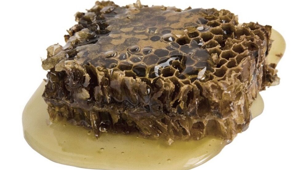 Propolis v Funget