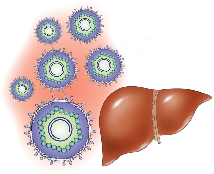 ako interne účinkujú systémové lieky